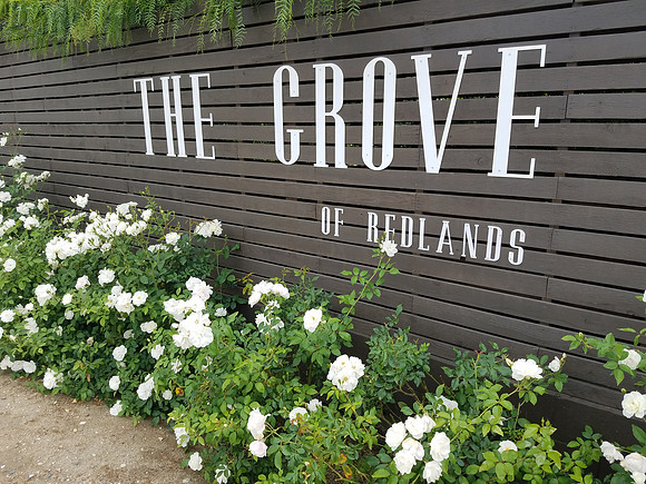 The Grove