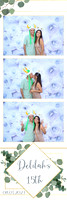 Delilah's 15th